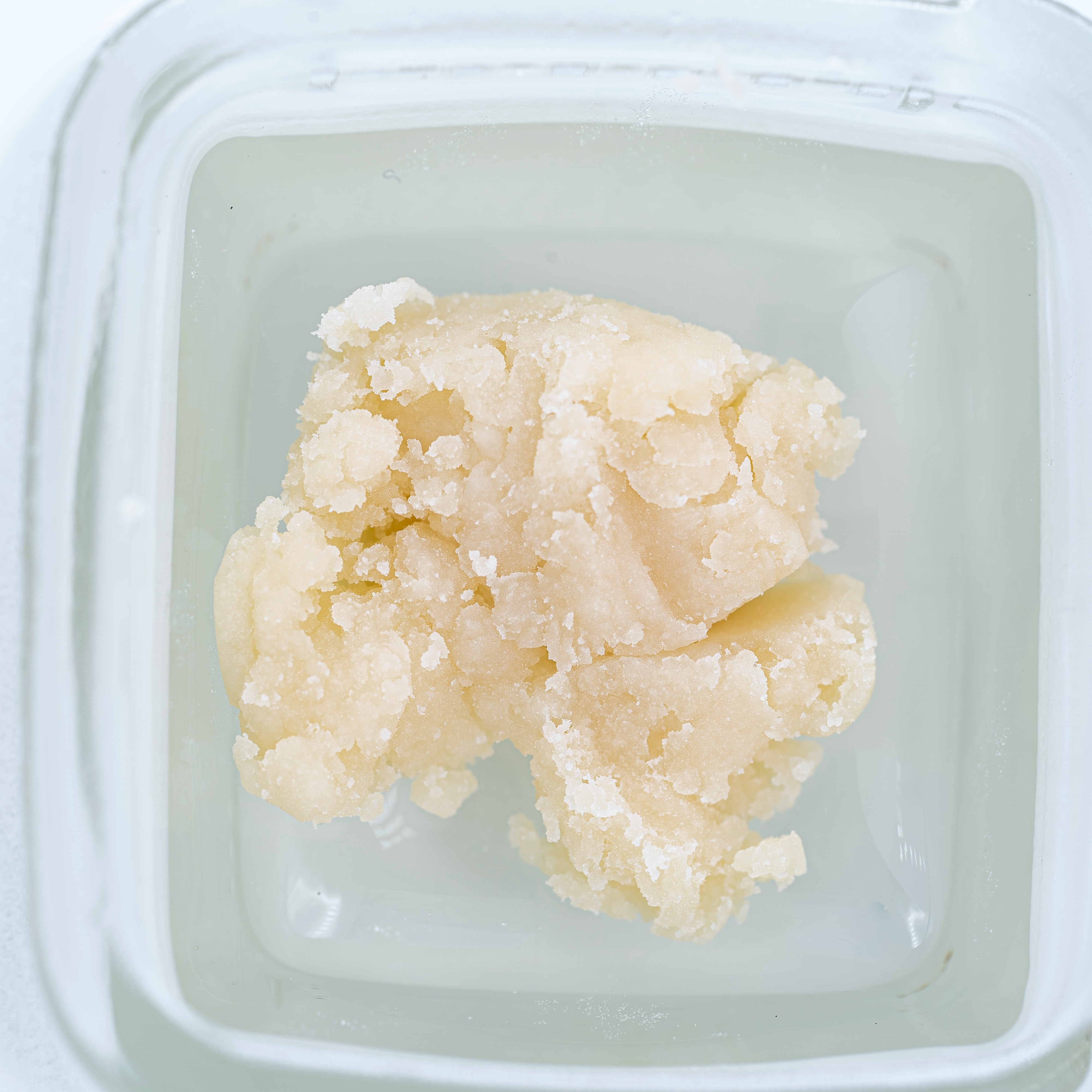 Nature's Kiss | Daily Grape | Live Rosin Batter | 1g
